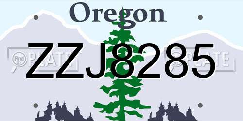 ZZJ8285 Oregon License Plate