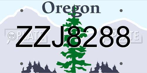 ZZJ8288 Oregon License Plate