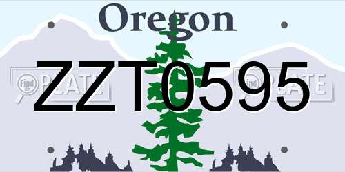 ZZT0595 Oregon License Plate