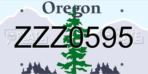 ZZZ0595 Oregon License Plate