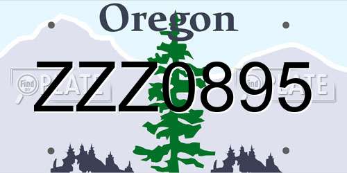 ZZZ0895 Oregon License Plate