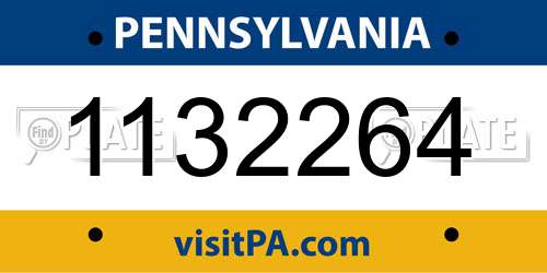 1132264 Pennsylvania License Plate