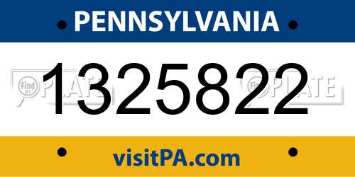 1325822 Pennsylvania License Plate