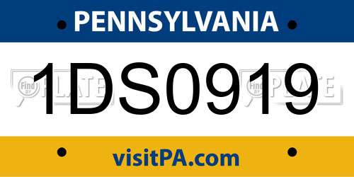1DS0919 Pennsylvania License Plate