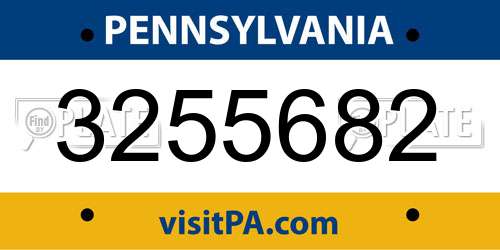 3255682 Pennsylvania License Plate
