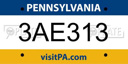 3AE313 Pennsylvania License Plate