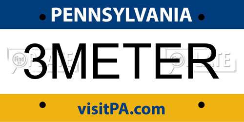 3METER Pennsylvania License Plate