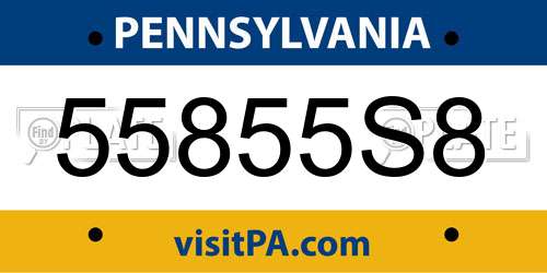 55855S8 Pennsylvania License Plate