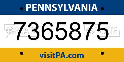 7365875 Pennsylvania License Plate