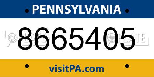 8665405 Pennsylvania License Plate