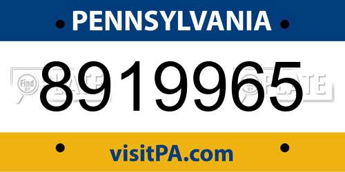 8919965 Pennsylvania License Plate