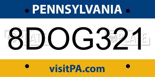 8DOG321 Pennsylvania License Plate
