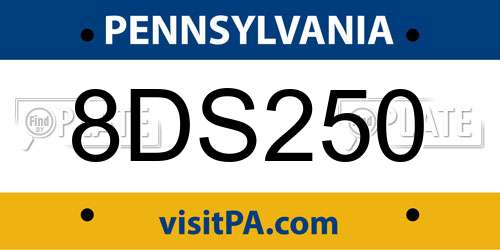 8DS250 Pennsylvania License Plate