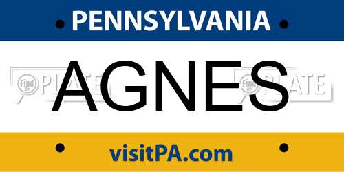 AGNES Pennsylvania License Plate