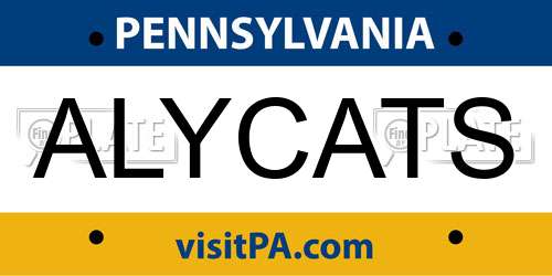 ALYCATS Pennsylvania License Plate