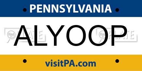 ALYOOP Pennsylvania License Plate