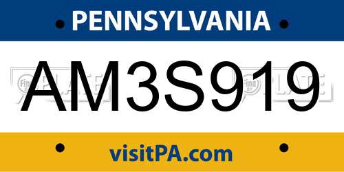 AM3S919 Pennsylvania License Plate