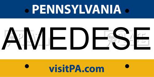AMEDESE Pennsylvania License Plate