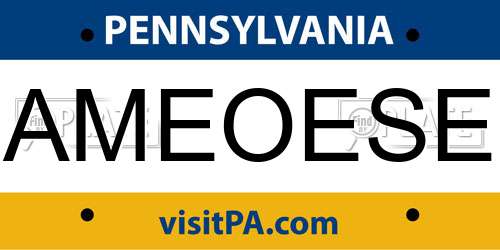 AMEOESE Pennsylvania License Plate