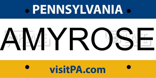 AMYROSE Pennsylvania License Plate