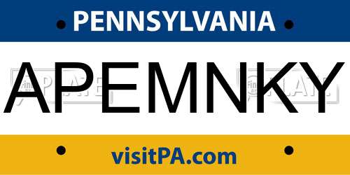 APEMNKY Pennsylvania License Plate