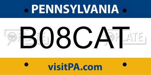 B08CAT Pennsylvania License Plate