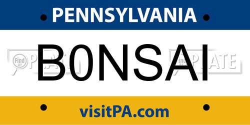 B0NSAI Pennsylvania License Plate