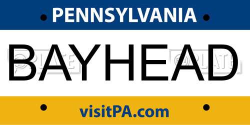 BAYHEAD Pennsylvania License Plate