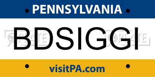 BDSIGGI Pennsylvania License Plate