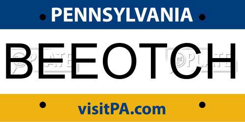 BEEOTCH Pennsylvania License Plate
