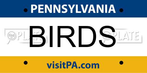 BIRDS Pennsylvania License Plate