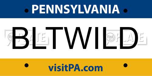 BLTWILD Pennsylvania License Plate