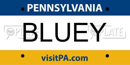 BLUEY Pennsylvania License Plate