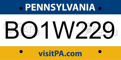 BO1W229 Pennsylvania License Plate