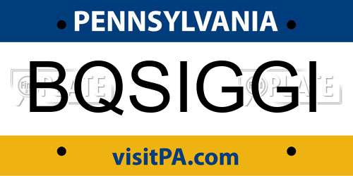 BQSIGGI Pennsylvania License Plate