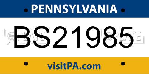 BS21985 Pennsylvania License Plate