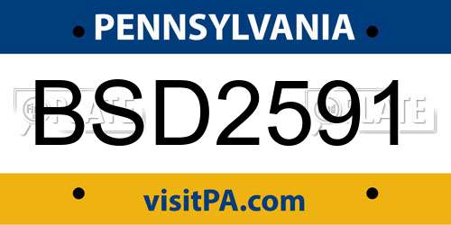 BSD2591 Pennsylvania License Plate