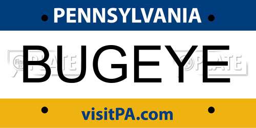 BUGEYE Pennsylvania License Plate