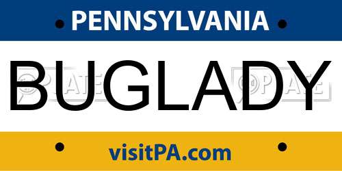 BUGLADY Pennsylvania License Plate