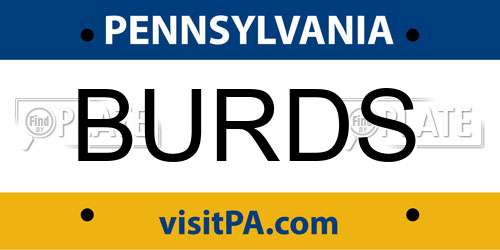BURDS Pennsylvania License Plate