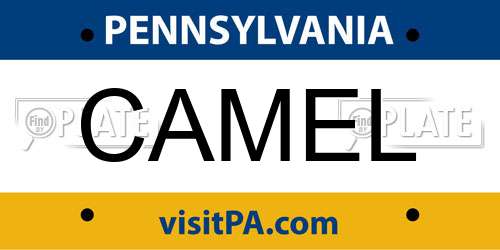 CAMEL Pennsylvania License Plate
