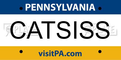 CATSISS Pennsylvania License Plate