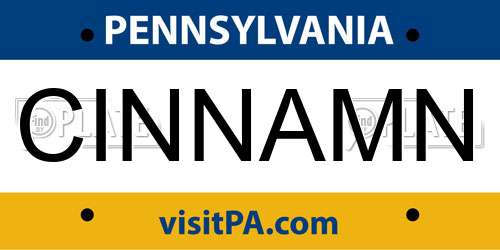 CINNAMN Pennsylvania License Plate