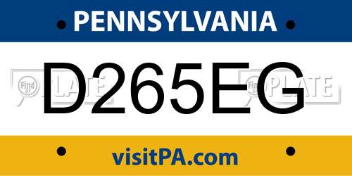 D265EG Pennsylvania License Plate