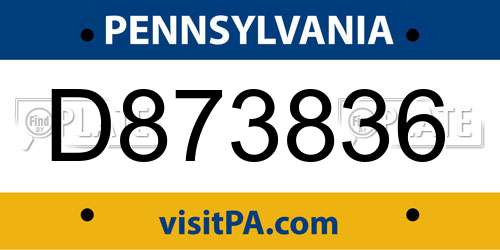 D873836 Pennsylvania License Plate
