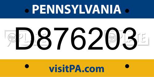 D876203 Pennsylvania License Plate