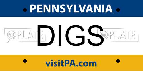 DIGS Pennsylvania License Plate