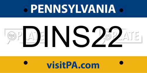 DINS22 Pennsylvania License Plate