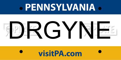 DRGYNE Pennsylvania License Plate
