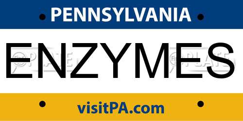 ENZYMES Pennsylvania License Plate